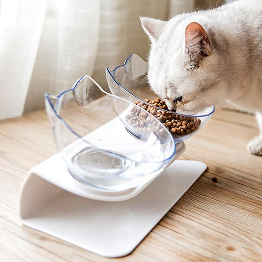 Anti-Vomiting Cat Bowl