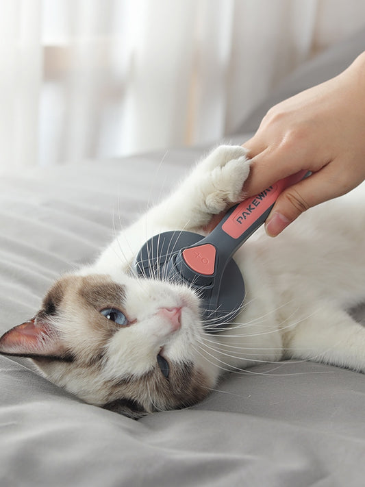 Self Cleaning Cat Hair Brush